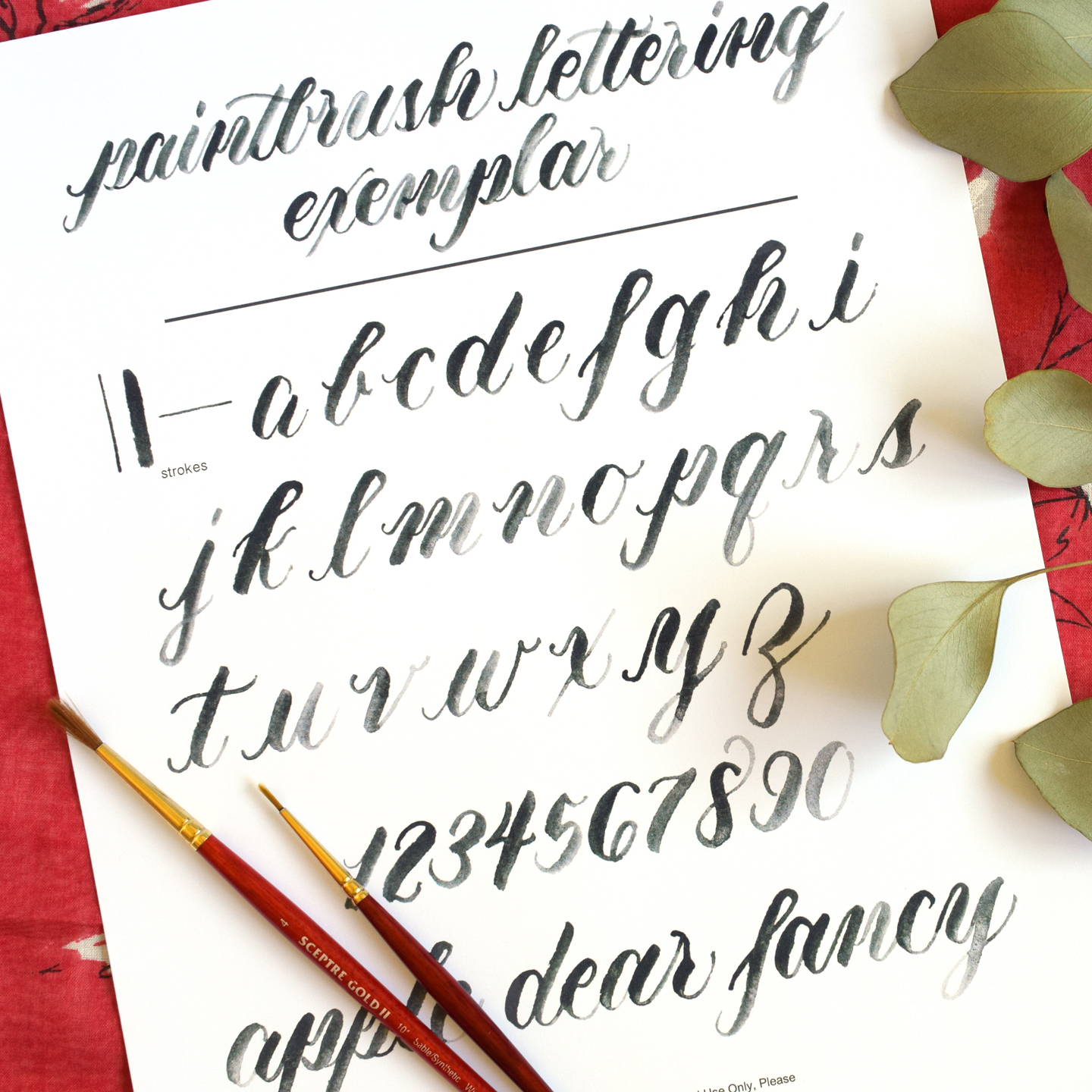 How to Create Paintbrush Lettering + A Free Exemplar