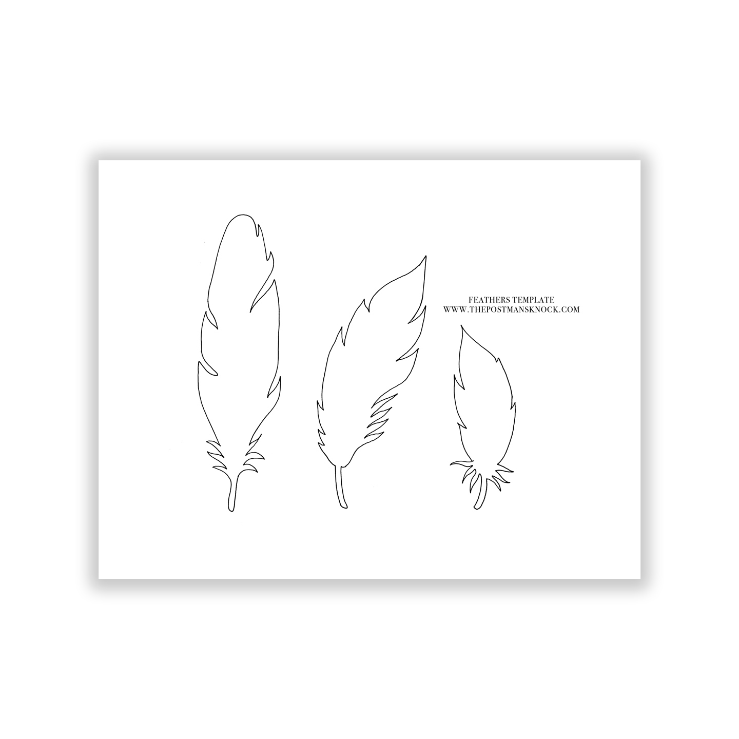 Paper Feathers Template The Postman's Knock
