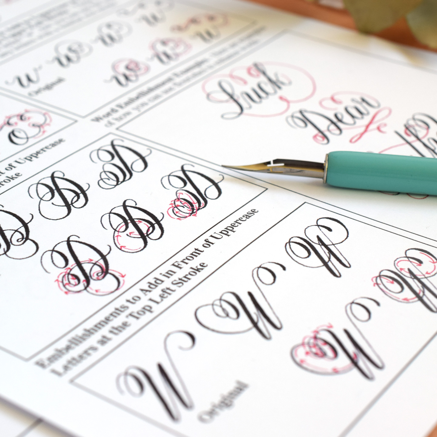 The New Flourish Formal Calligraphy Worksheet Set is Now Available!