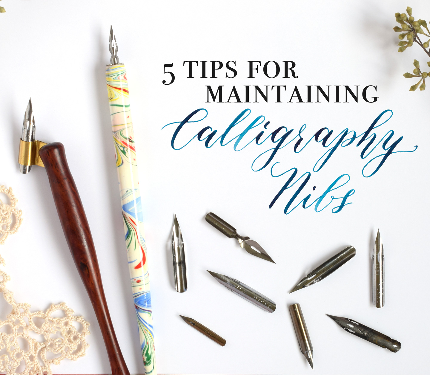5 Tips for Maintaining Calligraphy Nibs