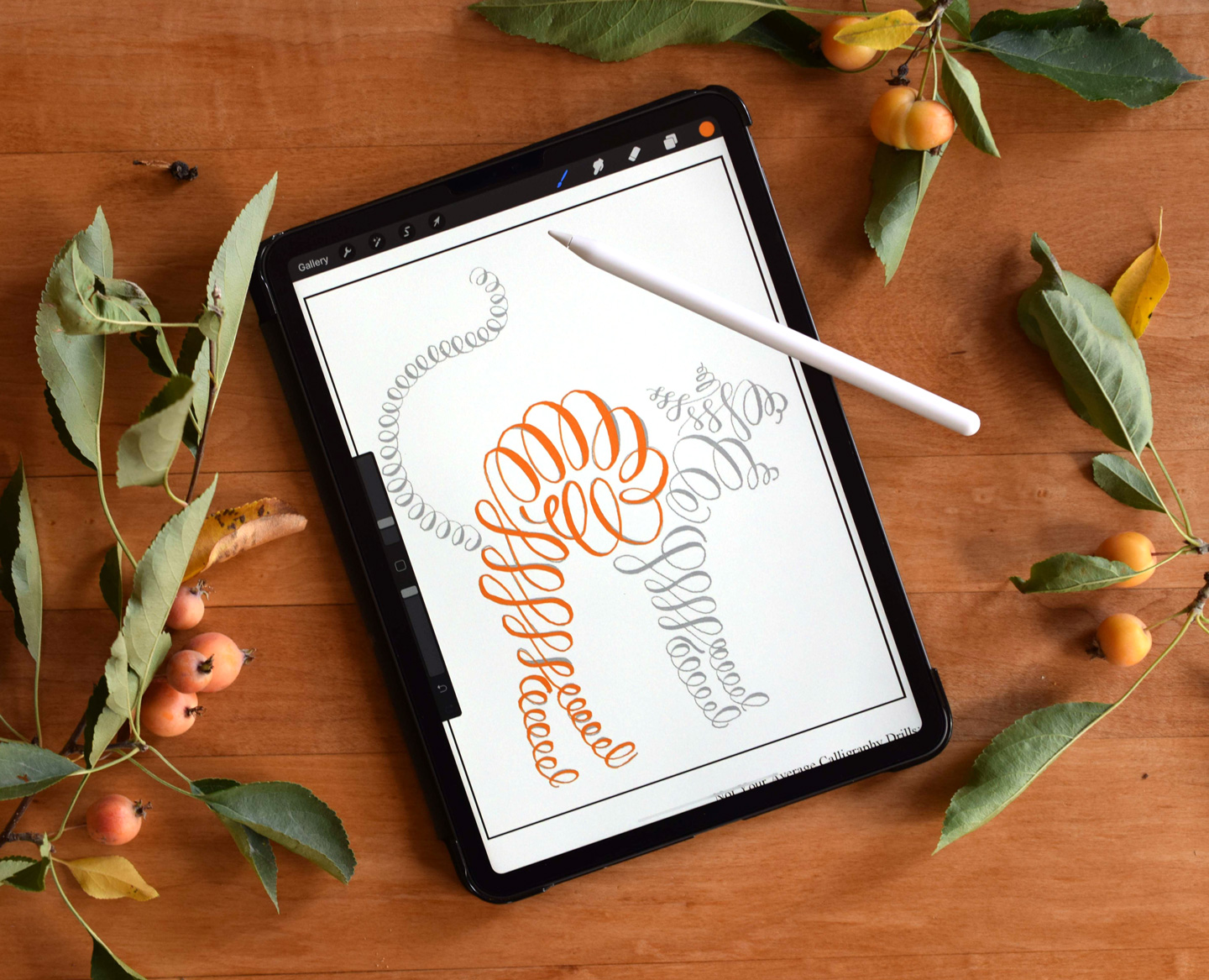 The Beginner’s Guide to Procreate: Part II – The Possibilities