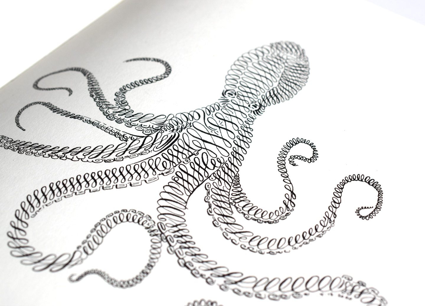 Octopus Calligraphy Art Tutorial