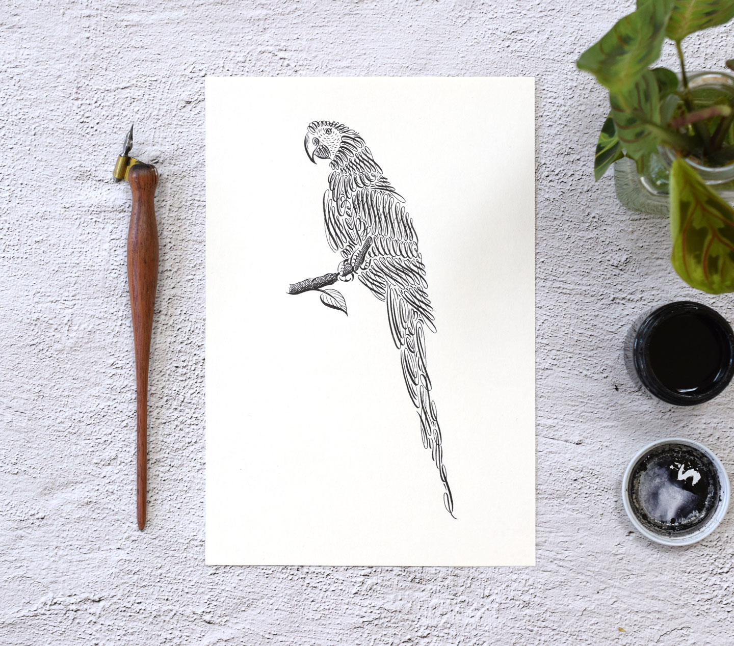 Introducing the Perched Parrot Calligraphy Drill Worksheet
